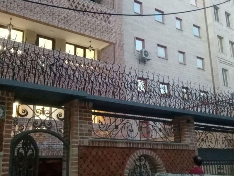 حفاظ بوته ای خار