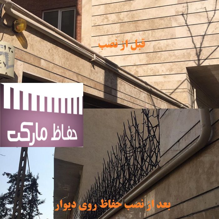 حفاظ روی دیوار