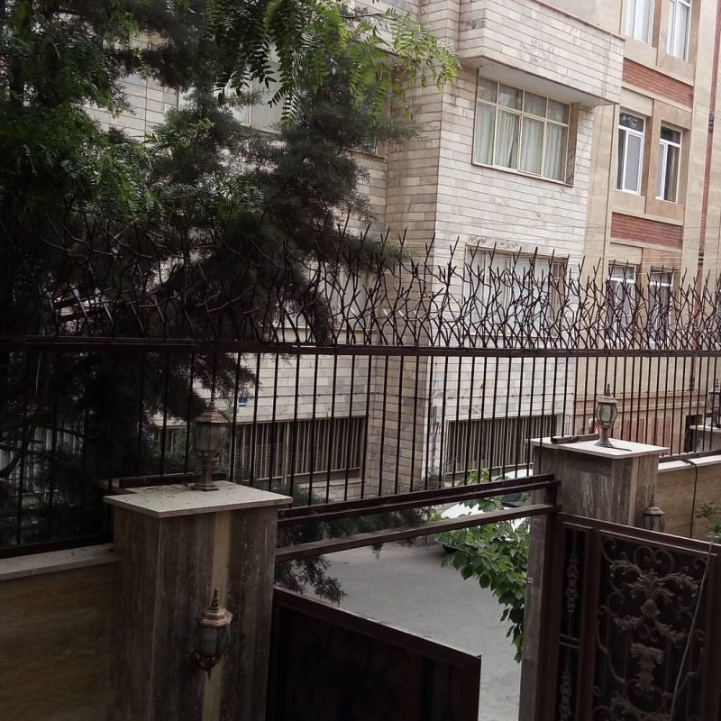 حفاظ شاخ گوزنی