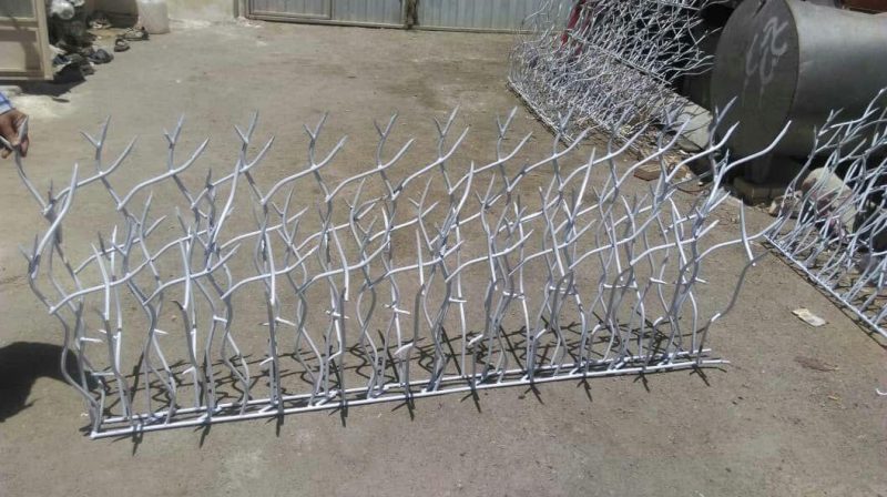 قیمت حفاظ شاخ گوزنی