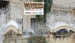 نرده دیوار باغ