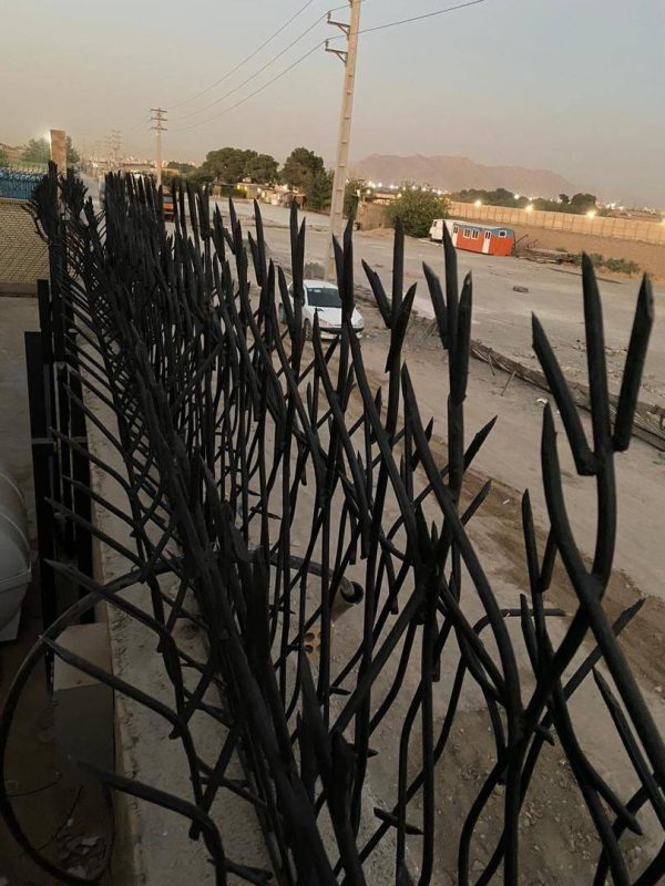 امنیت محافظ آهنی شاخ گوزنی برای دیوار بلند