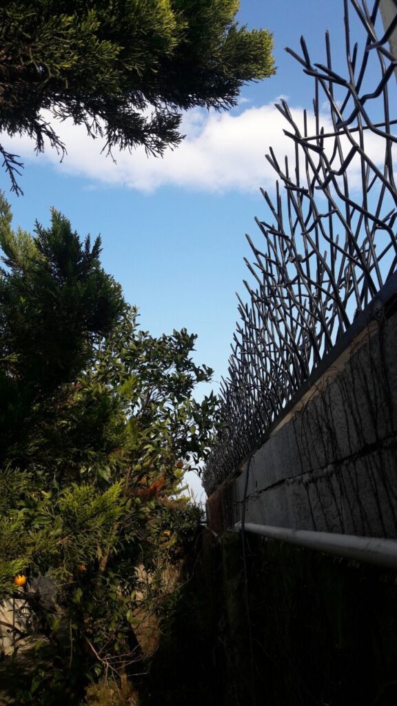 بررسی قیمت حفاظ شاخ گوزنی