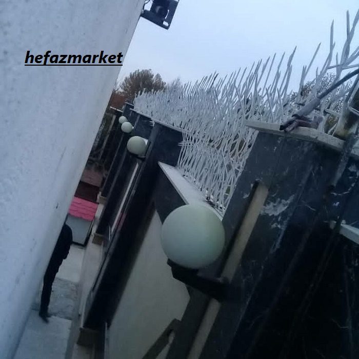 شاخ گوزنی 