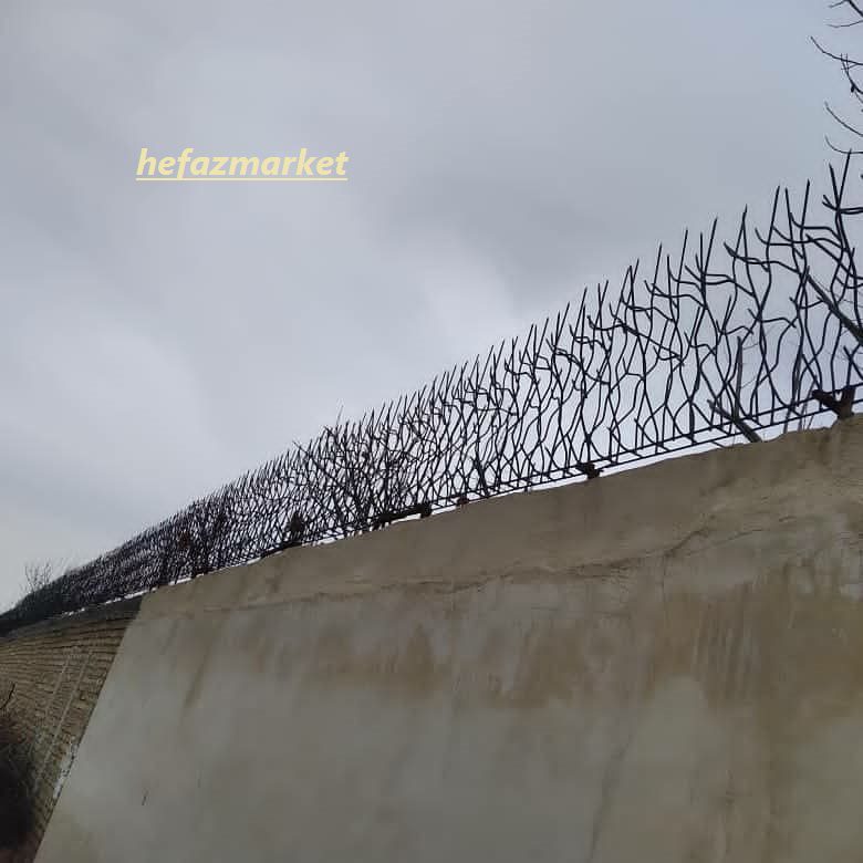 حفاظ دیواری شاخ گوزنی از نمای دور و نزدیک