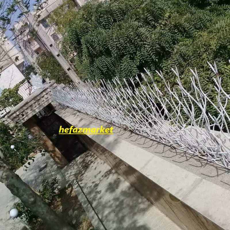 حفاظ شاخ گوزنی 