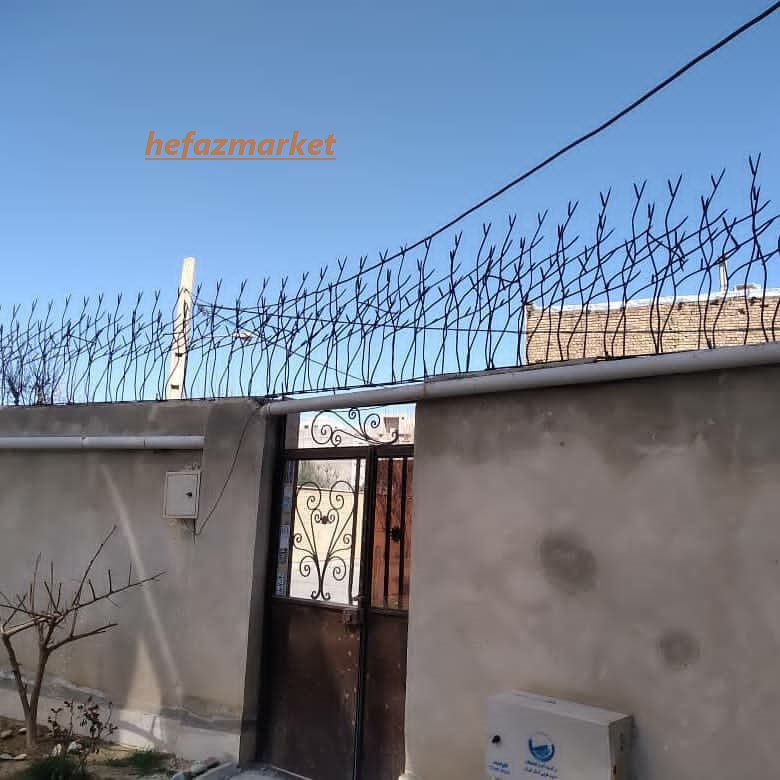 شاخ گوزنی 