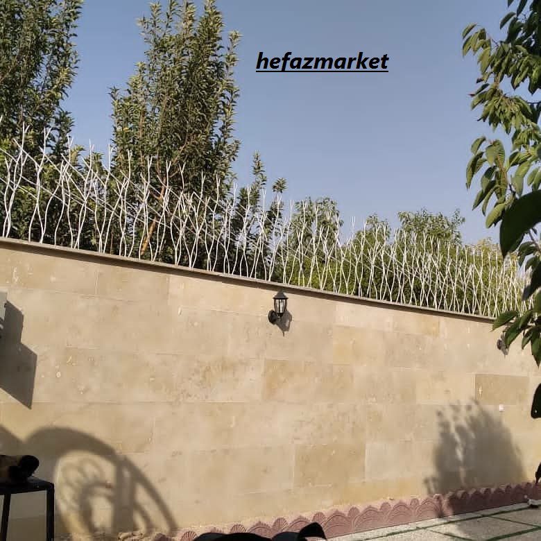 حفاظ شاخ گوزنی