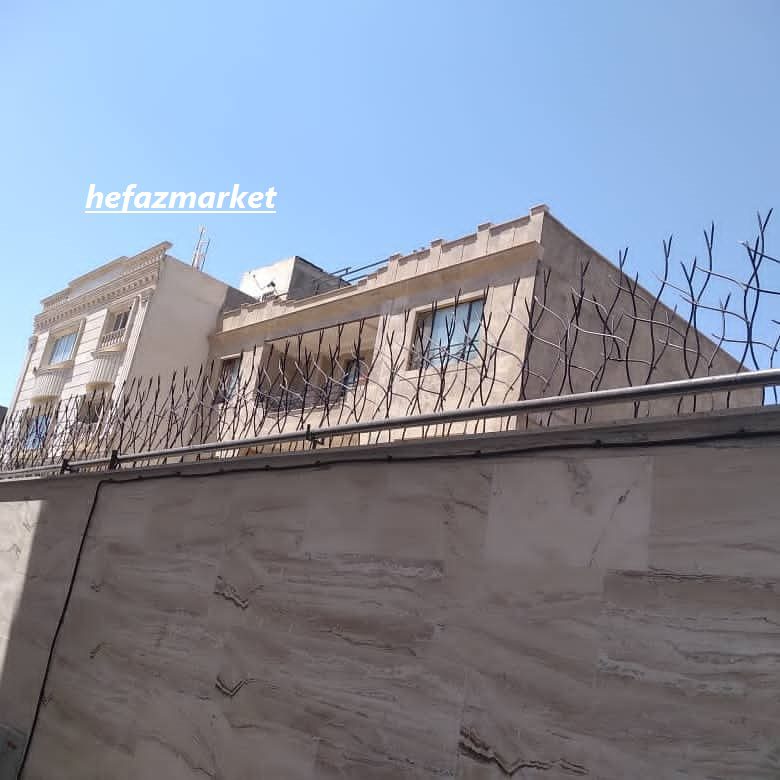 حفاظ شاخ گوزنی