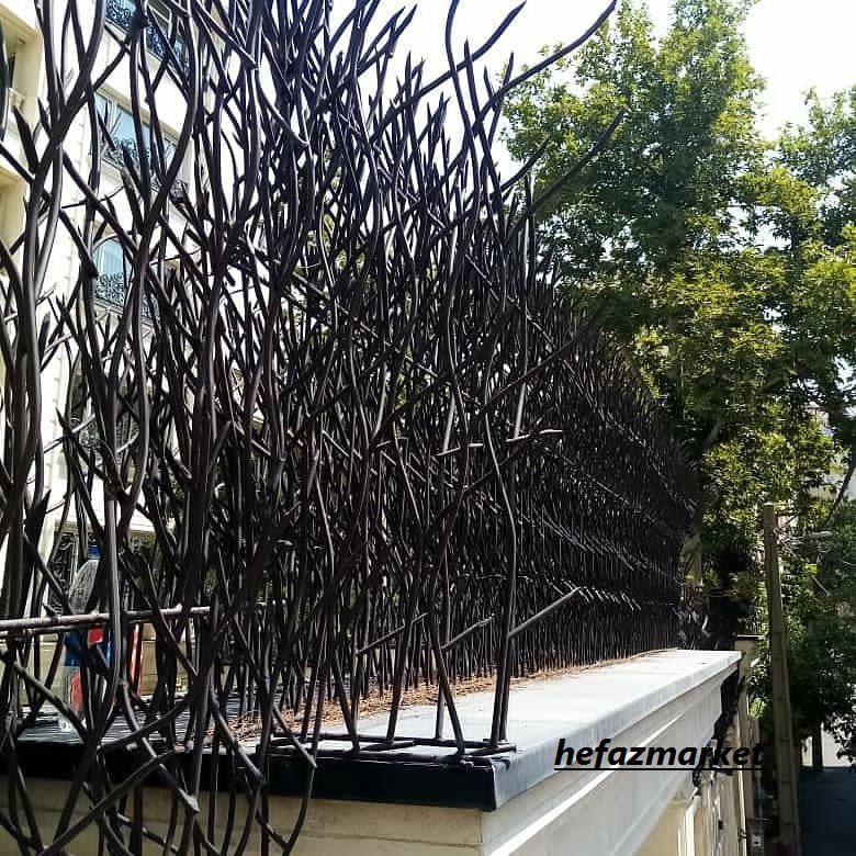 حفاظ شاخ گوزنی