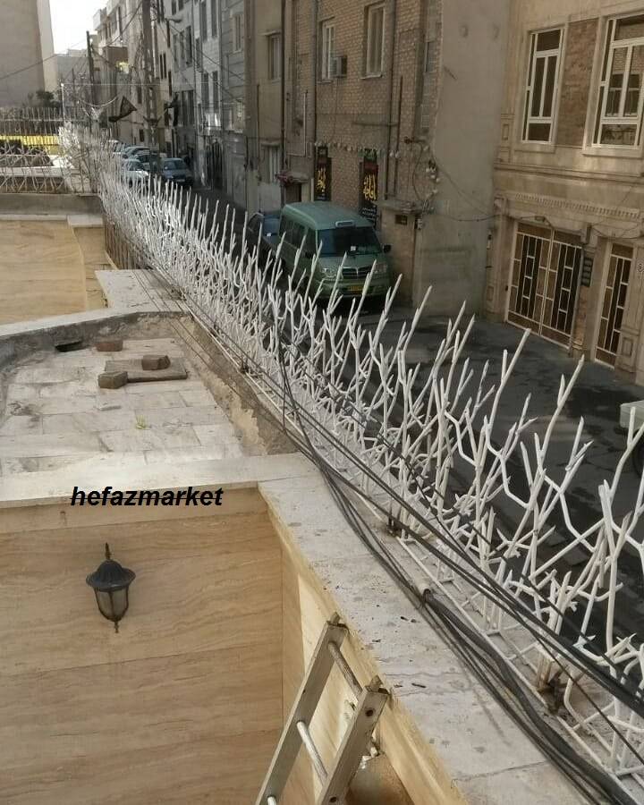 حفاظ شاخ گوزنی 