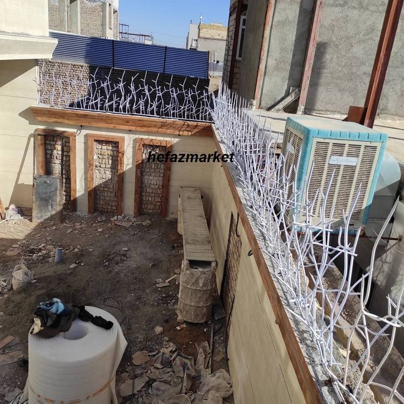 حفاظ شاخ گوزنی روی دیوار