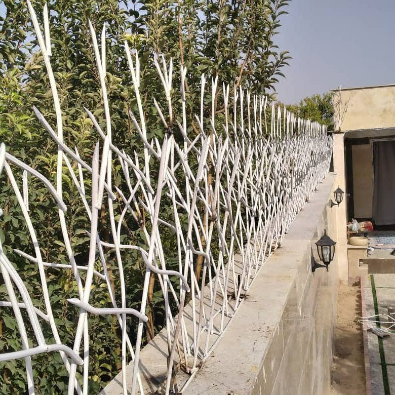 حفاظ شاخ گوزنی