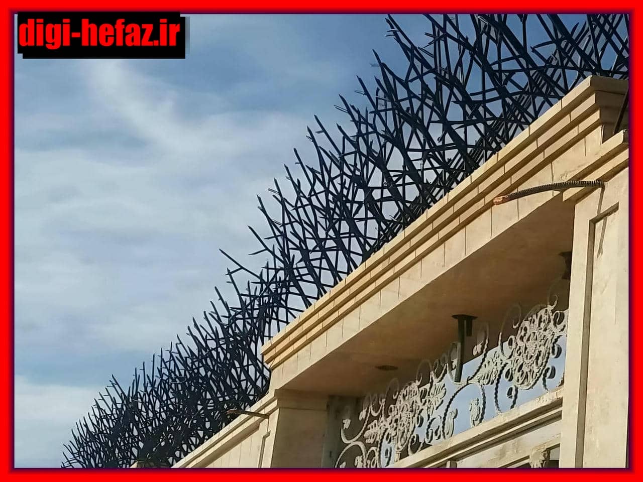 حفاظ شاخ گوزنی | دیجی حفاظ حفاظ شاخ گوزنی
