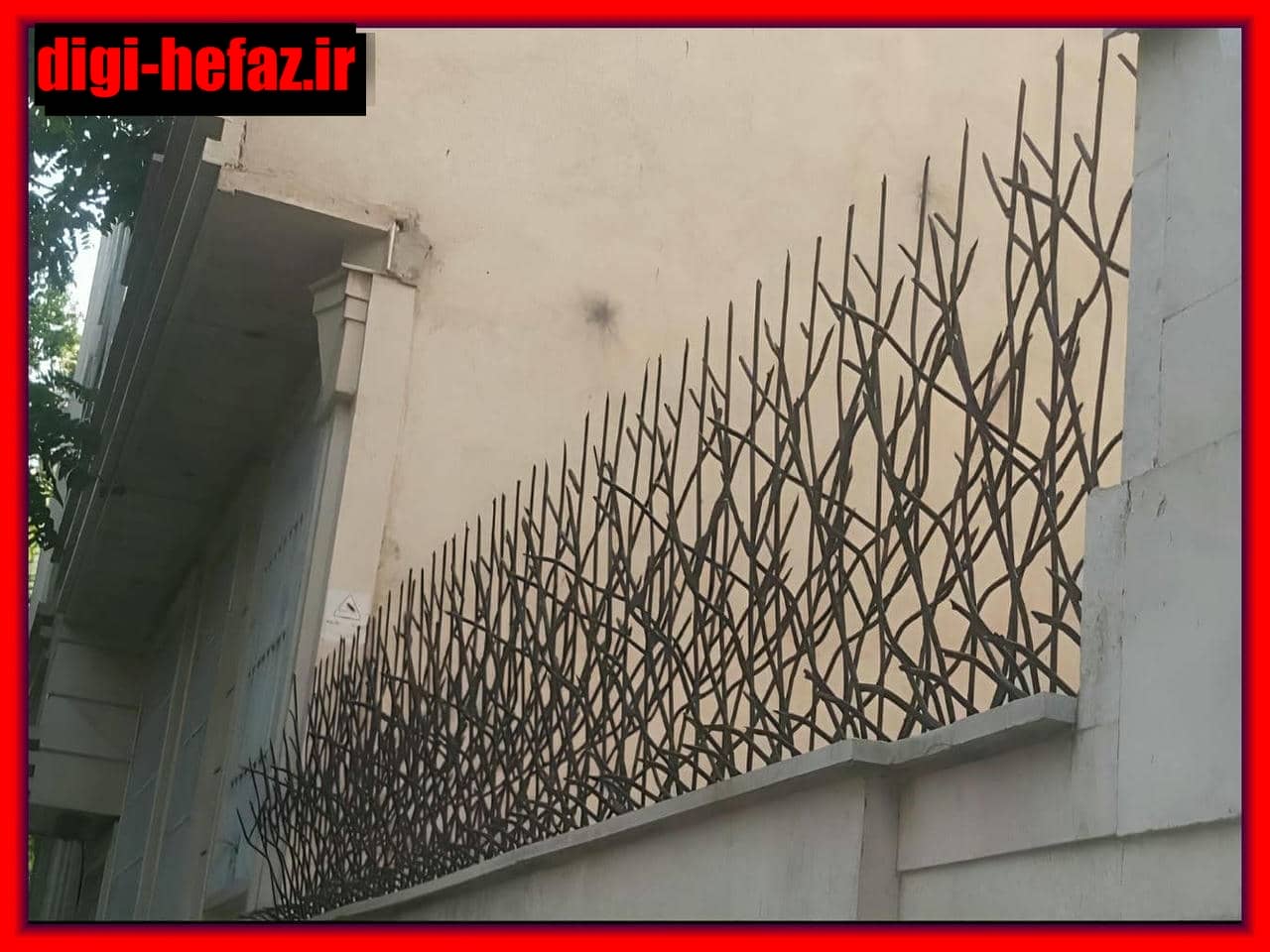 مزایا و کاربردهای حفاظ شاخ گوزنی