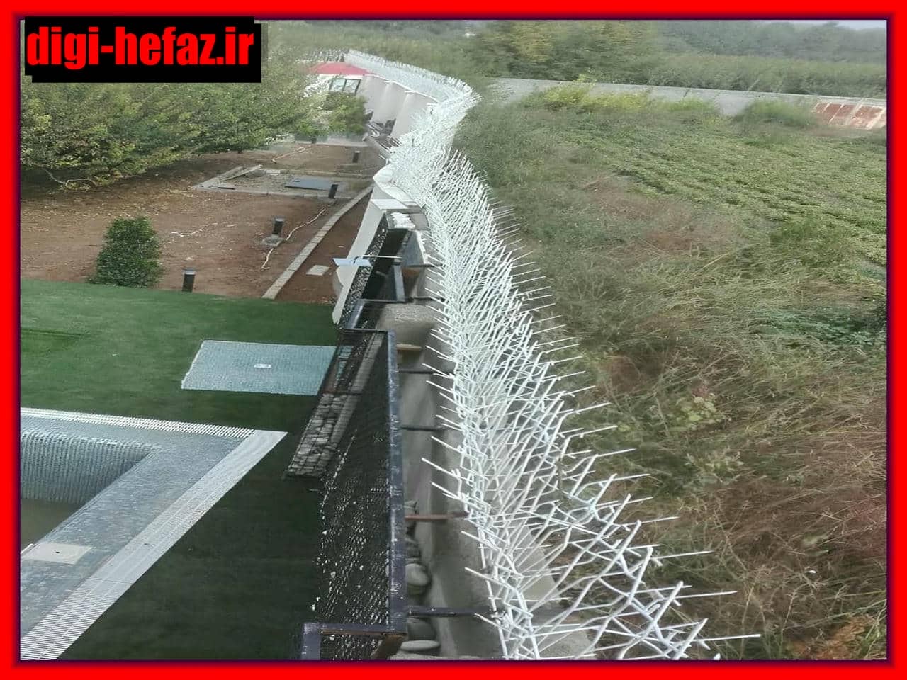 اطلاعات تولید و ویژگی های حفاظ شاخ گوزنی