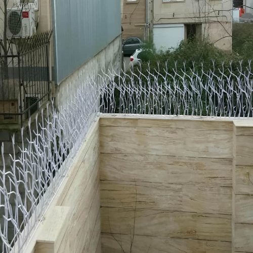 حفاظ شاخ گوزنی تراکم ۳۴