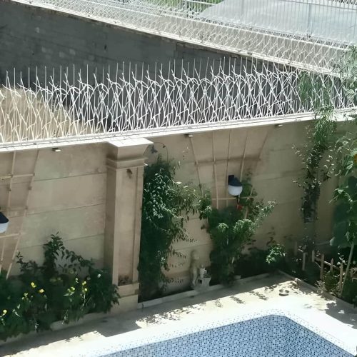 حفاظ شاخ گوزنی تراکم ۴۰