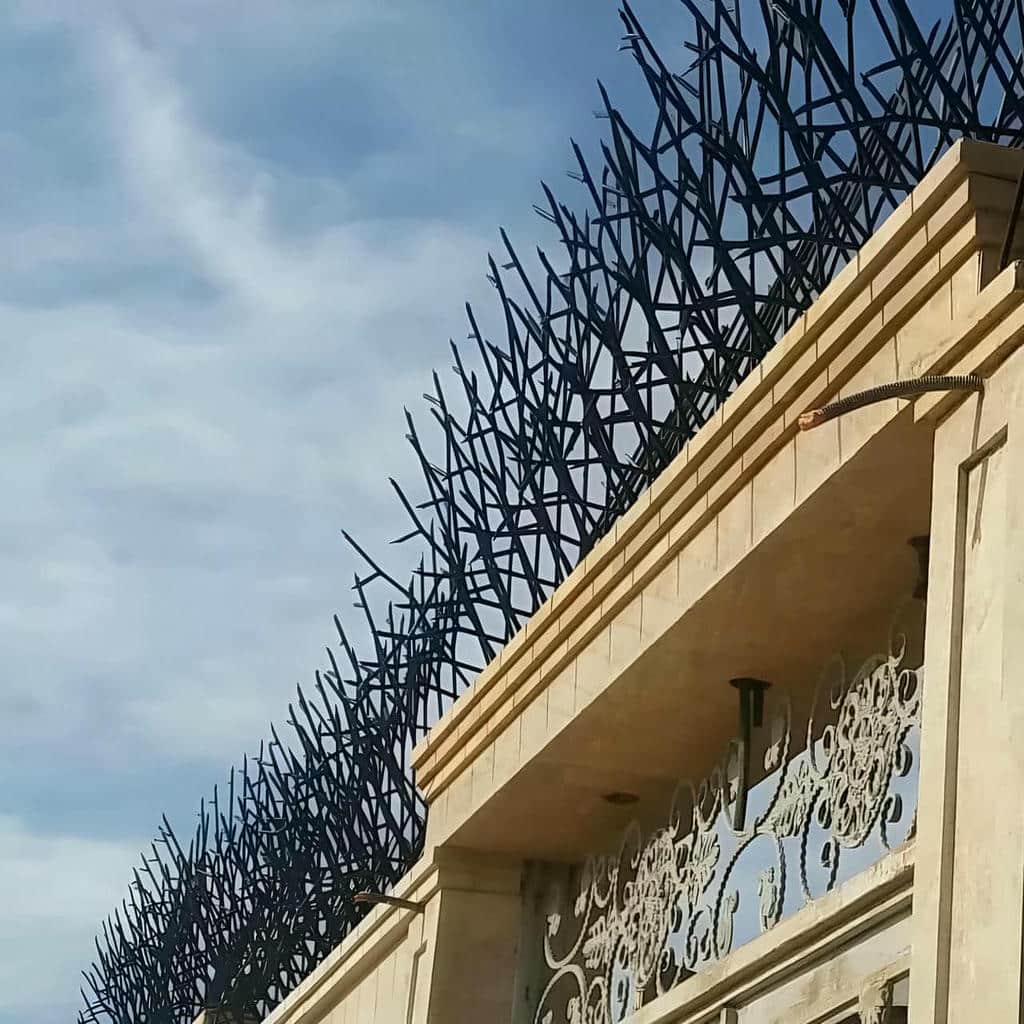 فروش حفاظ شاخ گوزنی دیوار ساختمان در ایرانشهر