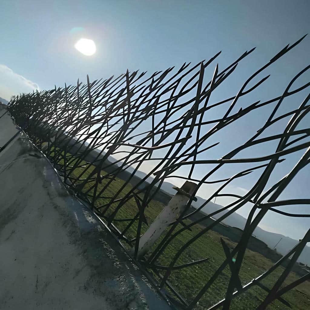 حفاظ شاخ گوزنی دیوار ساختمان در چالوس