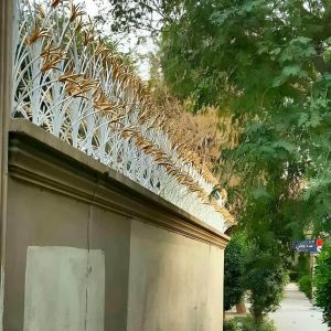 حفاظ شاخ گوزنی در فیروزکوه