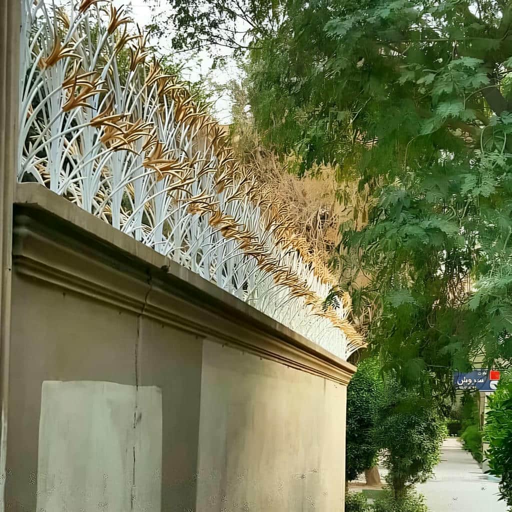 حفاظ شاخ گوزنی در فیروزکوه