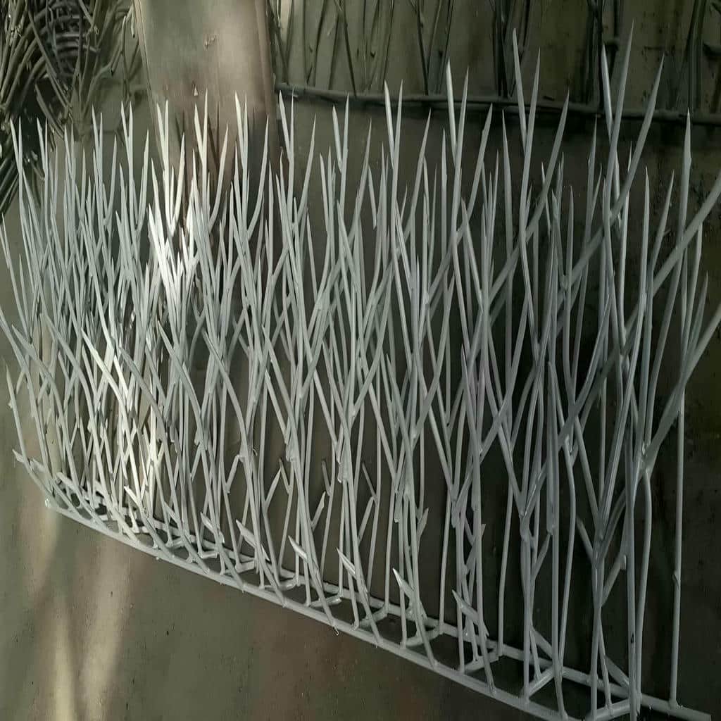 نصب حفاظ شاخ گوزنی دیوار ساختمان در ایرانشهر
