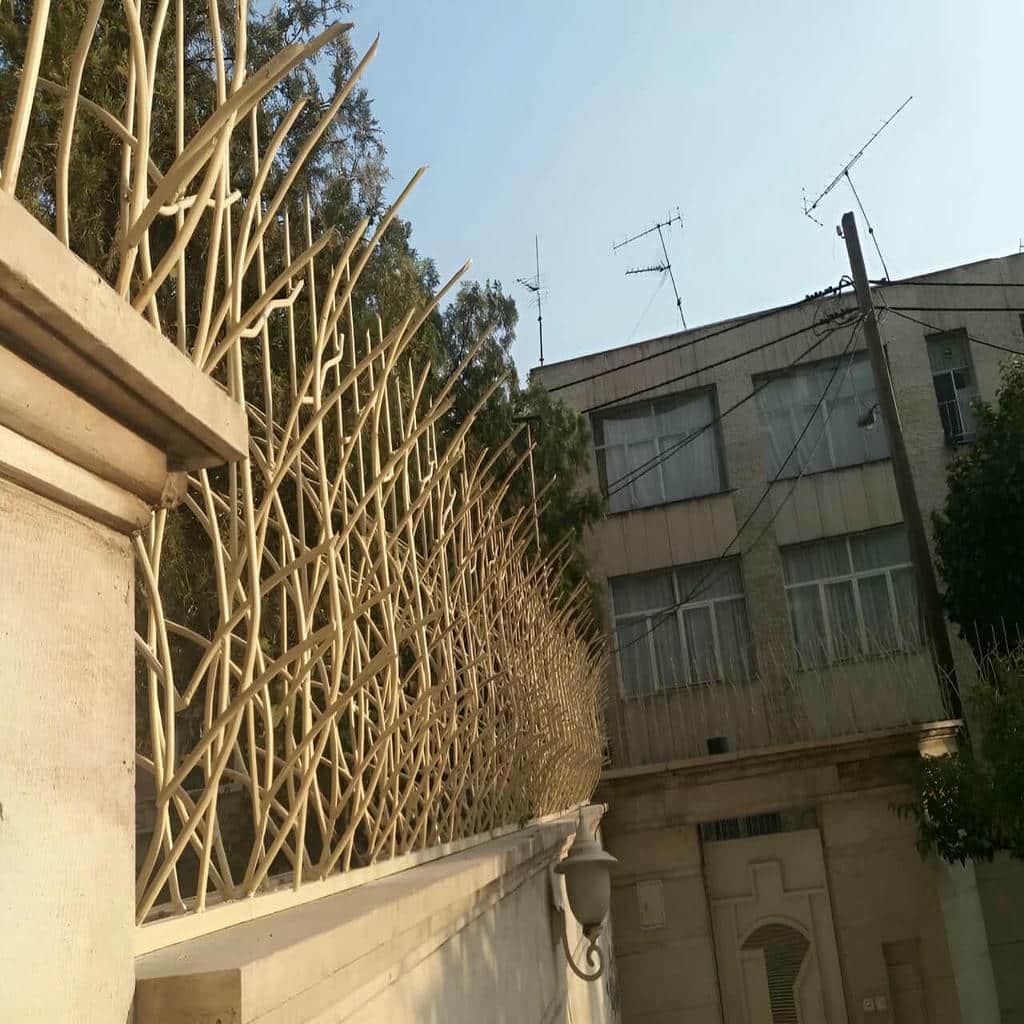 خرید حفاظ شاخ گوزنی تراکم ساحلی در قشم