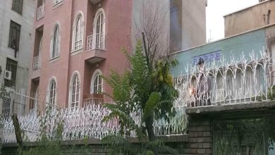 حفاظ شاخ گوزنی دیوار ساختمان در اراک