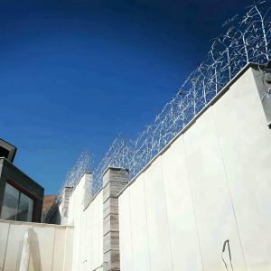حفاظ شاخ گوزنی در سنندج