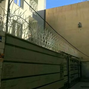 حفاظ شاخ گوزنی دیوار ساختمان در استان گیلان