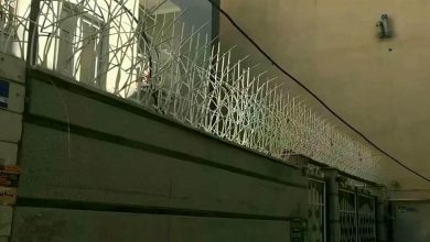 حفاظ شاخ گوزنی دیوار ساختمان در استان گیلان