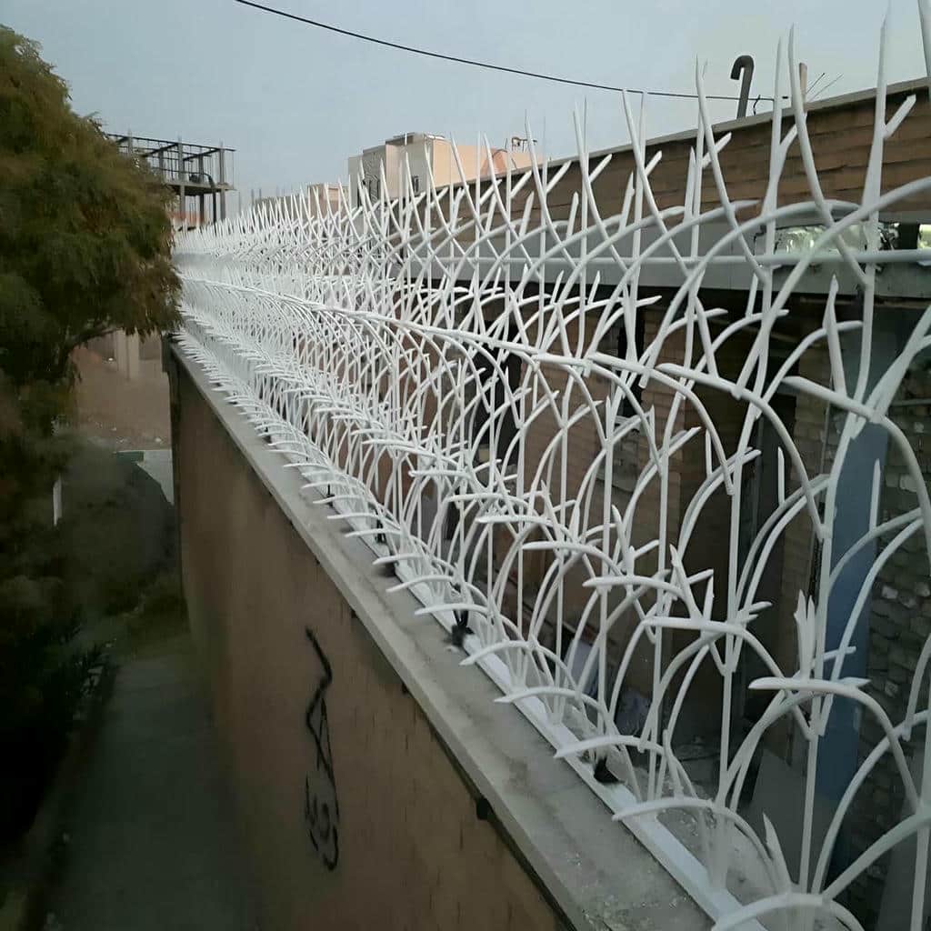 فروش حفاظ شاخ گوزنی دیوار ساختمان در رشت