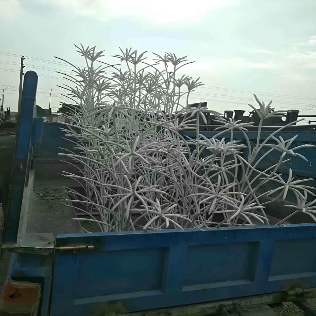 نصب حفاظ شاخ گوزنی دیوار ساختمان در استان مازندران