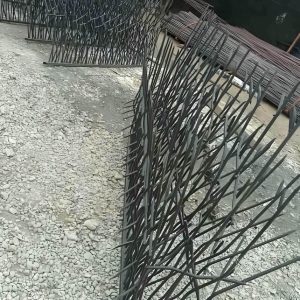حفاظ شاخ گوزنی در بیرجند