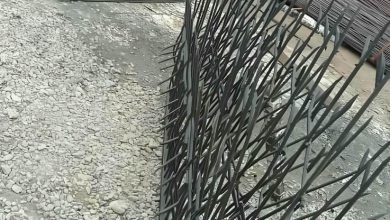 حفاظ شاخ گوزنی در بیرجند