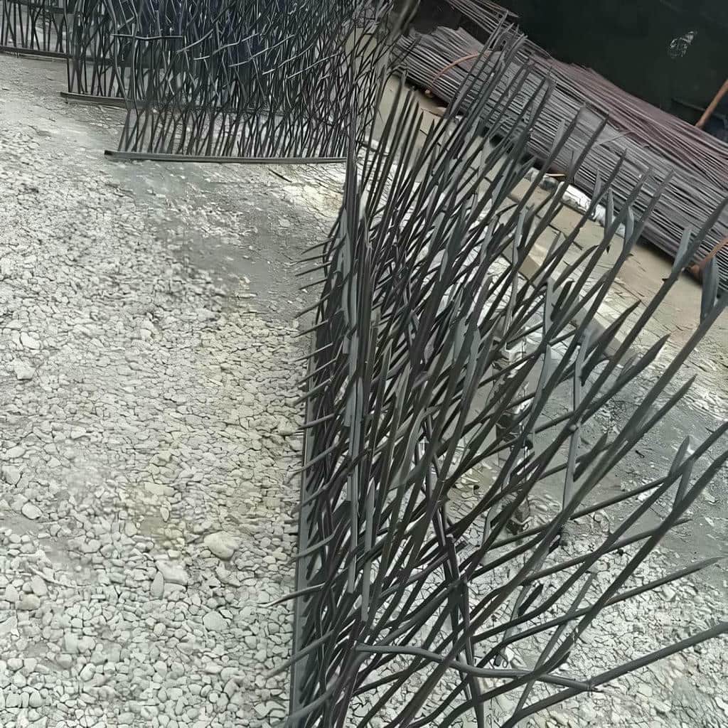 حفاظ شاخ گوزنی در بیرجند