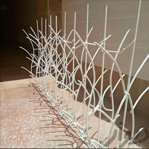 حفاظ شاخ گوزنی دیوار ساختمان در محمودآباد