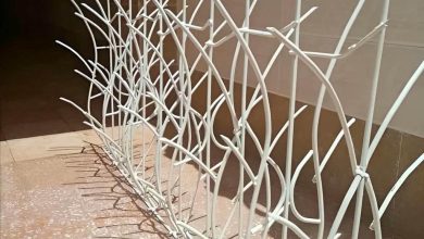 حفاظ شاخ گوزنی دیوار ساختمان در محمودآباد