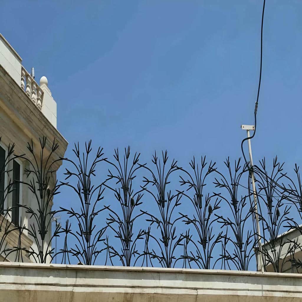 قیمت حفاظ شاخ گوزنی دیوار ساختمان در ایرانشهر