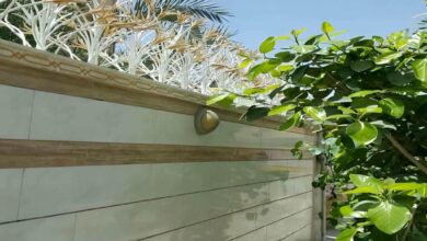 حفاظ شاخ گوزنی در طالقان
