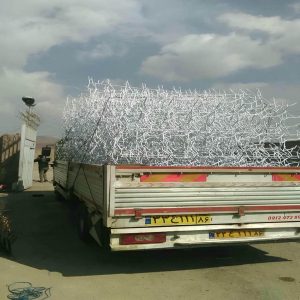 حفاظ شاخ گوزنی دیوار ساختمان در اردبیل