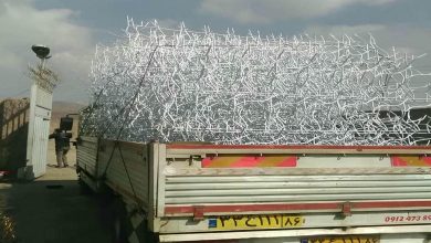 حفاظ شاخ گوزنی دیوار ساختمان در اردبیل