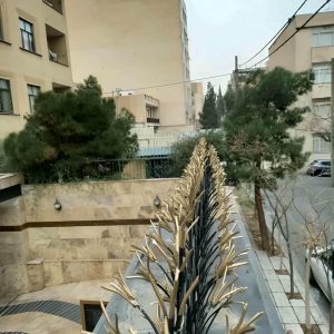 حفاظ شاخ گوزنی در کرمانشاه