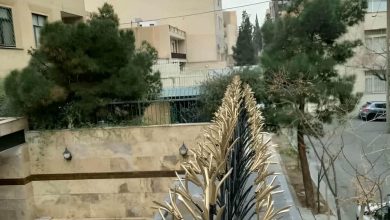 حفاظ شاخ گوزنی در کرمانشاه