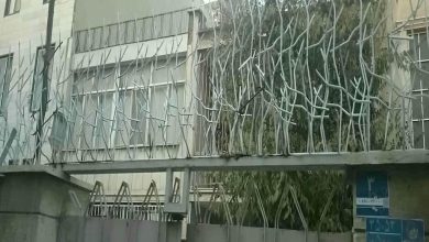 حفاظ شاخ گوزنی دیوار ساختمان در استان مازندران