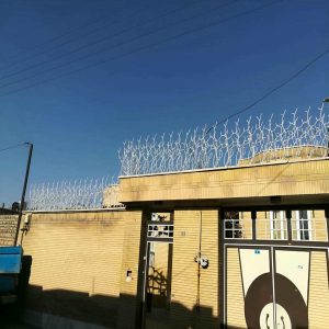 حفاظ شاخ گوزنی دیوار ساختمان در بندرعباس
