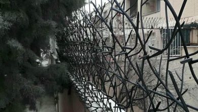 حفاظ شاخ گوزنی در کاشان