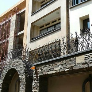 حفاظ شاخ گوزنی در قم