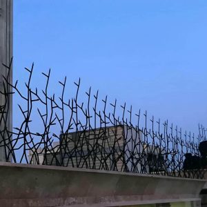 حفاظ شاخ گوزنی در کرج